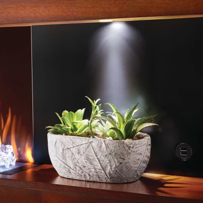 Stylus Steinfeld Elpeis 2 Stylus Steinfeld Elpeis - Bilde 2